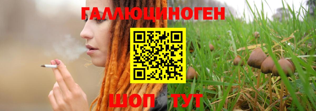 Псилоцибиновые грибы ЛСД  Вход с VPN  Псилоцибиновые грибы мухоморы  где продают наркотики  Нижний Тагил 